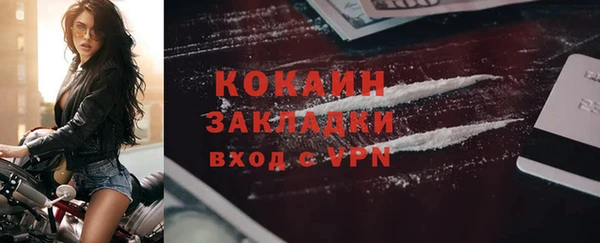 прущие грибы Лихославль