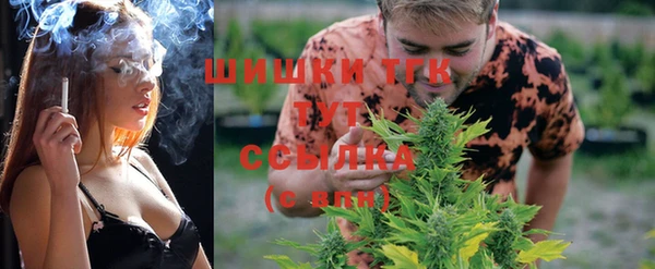 прущие грибы Лихославль
